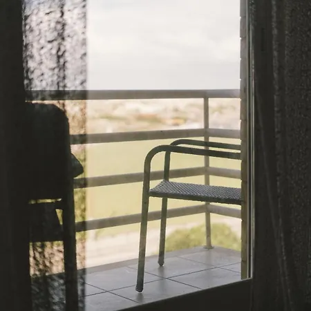 33 - Conchas Do Mar *